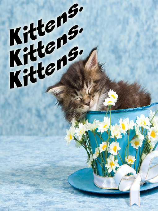 Title details for Kittens. Kittens. Kittens. by Margaret Brown - Available